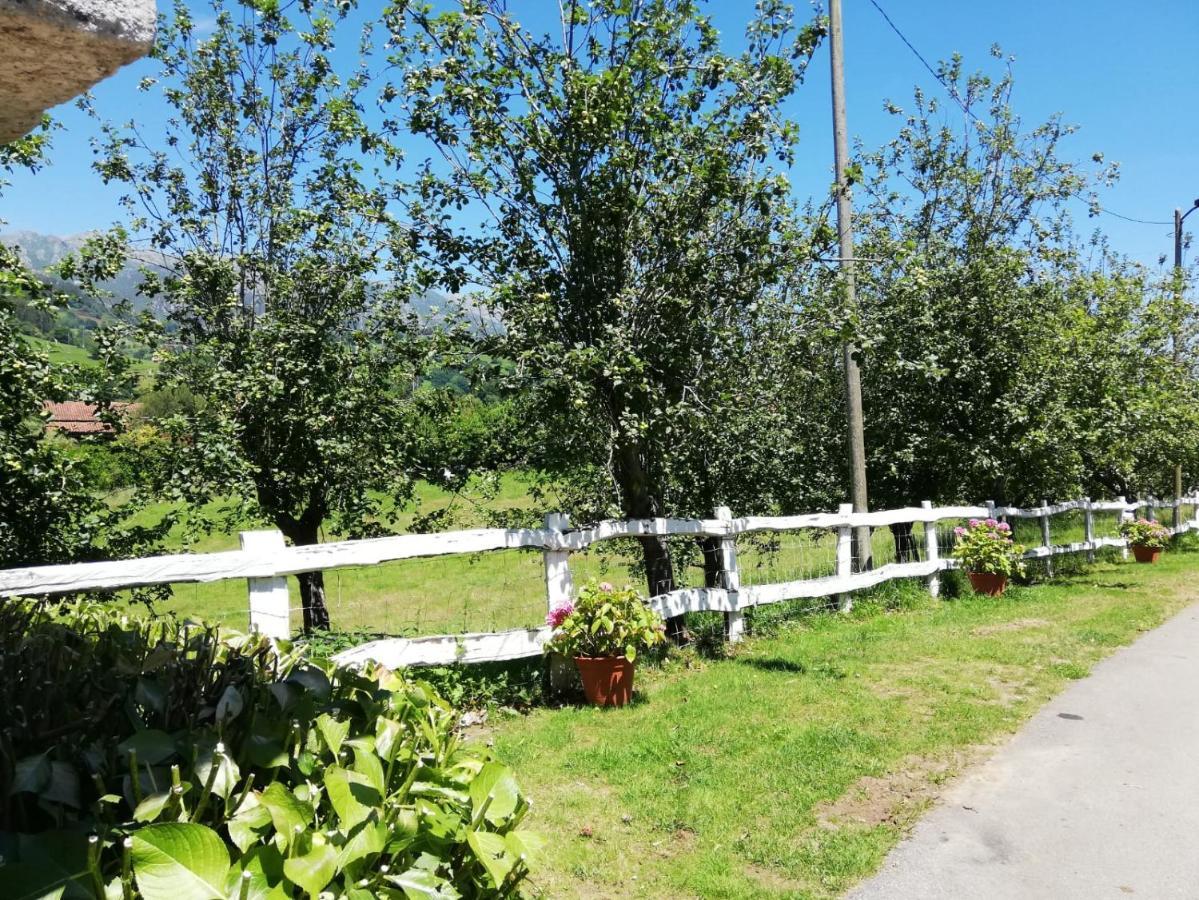 La Casa Nueva Alojamiento Rural Cereceda  Exteriör bild