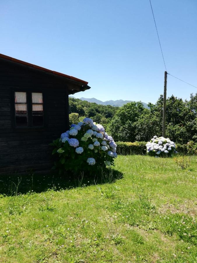 La Casa Nueva Alojamiento Rural Cereceda  Exteriör bild