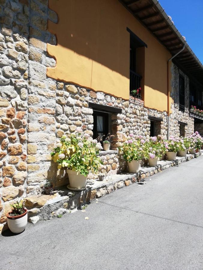 La Casa Nueva Alojamiento Rural Cereceda  Exteriör bild