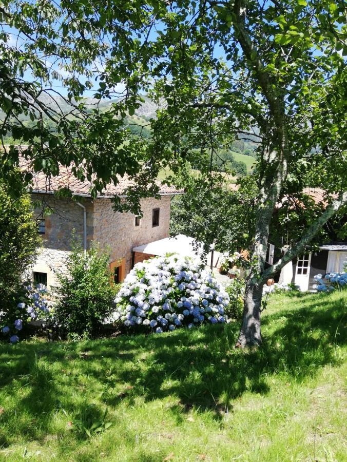 La Casa Nueva Alojamiento Rural Cereceda  Exteriör bild