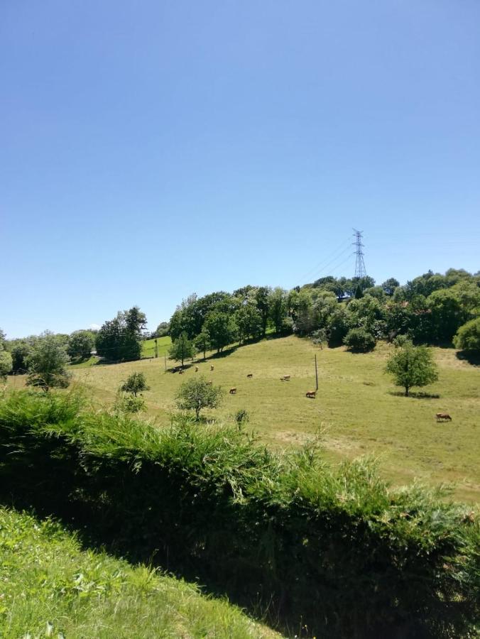 La Casa Nueva Alojamiento Rural Cereceda  Exteriör bild