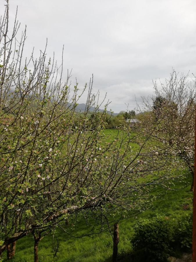 La Casa Nueva Alojamiento Rural Cereceda  Exteriör bild