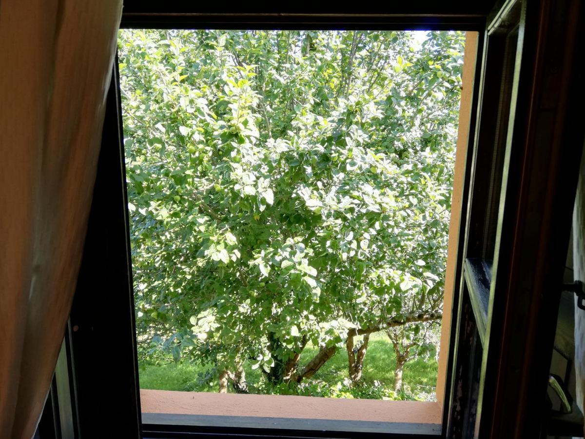 La Casa Nueva Alojamiento Rural Cereceda  Exteriör bild