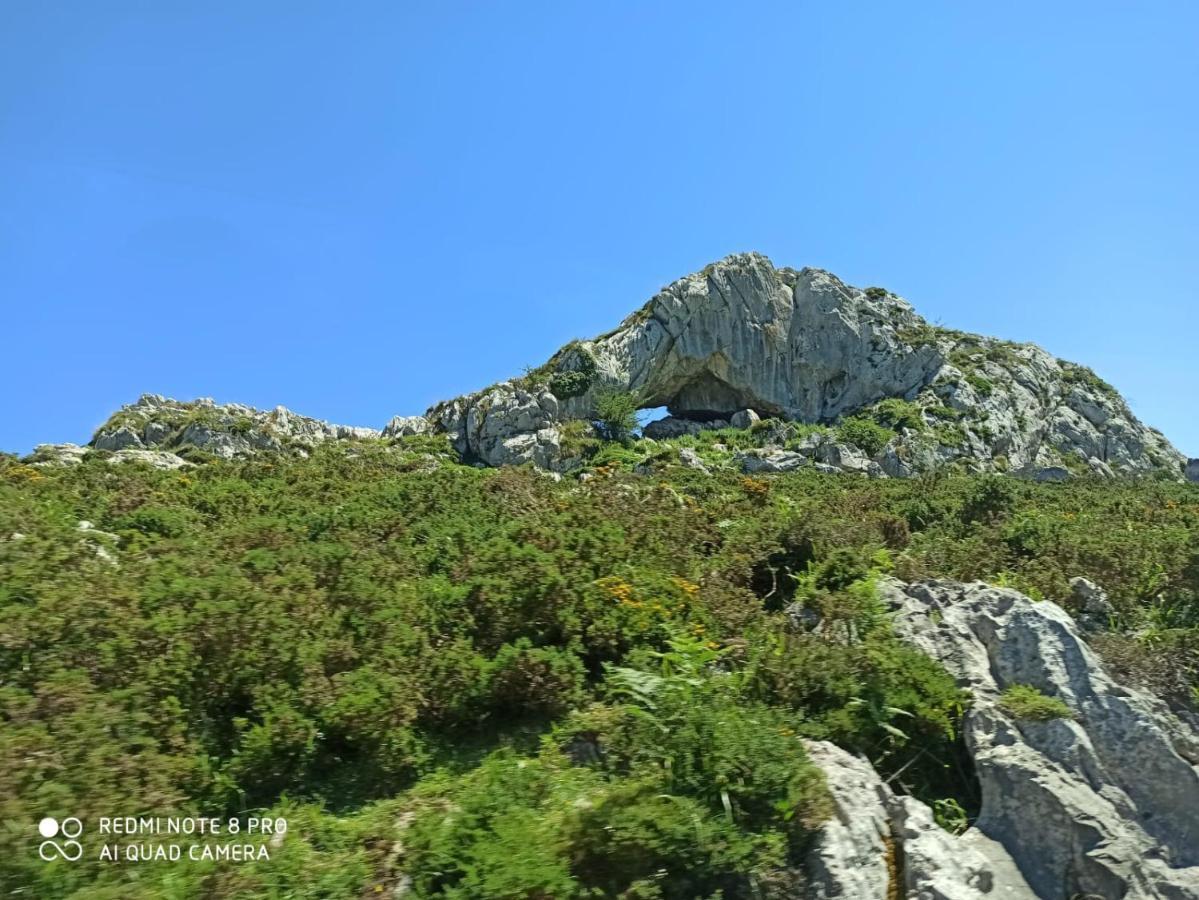 La Casa Nueva Alojamiento Rural Cereceda  Exteriör bild