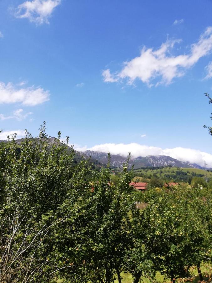 La Casa Nueva Alojamiento Rural Cereceda  Exteriör bild